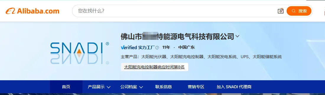佛山新能源电气国际站排名案例案例截图